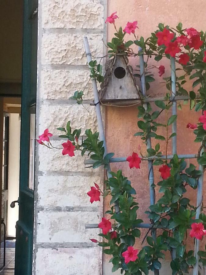 Via Cavasola Apartment ฟีนาเลลีกูเร ภายนอก รูปภาพ